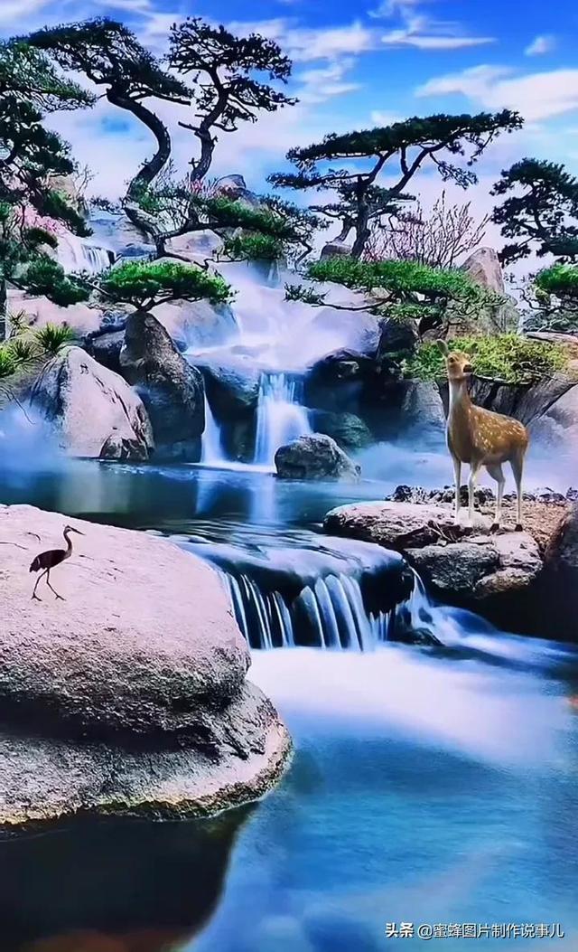 玩具坦克对战